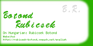 botond rubicsek business card